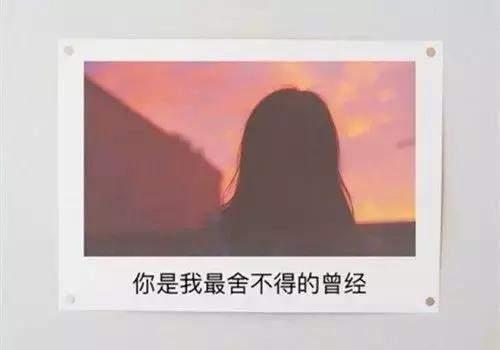 Sea birds and fish love