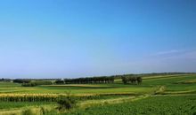 关于女子的经典诗句