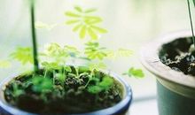 人生积极向上的短句