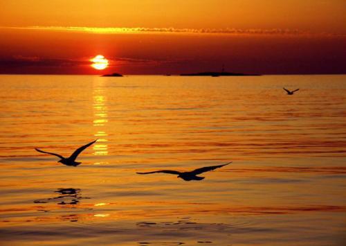 在请求过程中有些事情不能等待