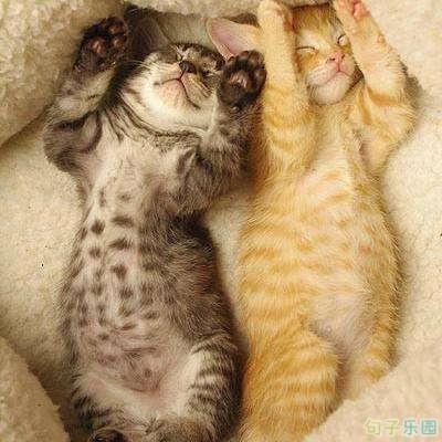 有人说喜欢他们的人就像他们自己