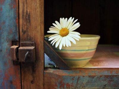 你可能是一位公主