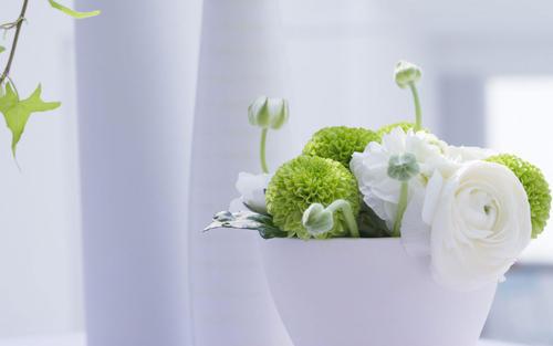 让我们看一下家庭编辑写的关于写家庭感觉的句子