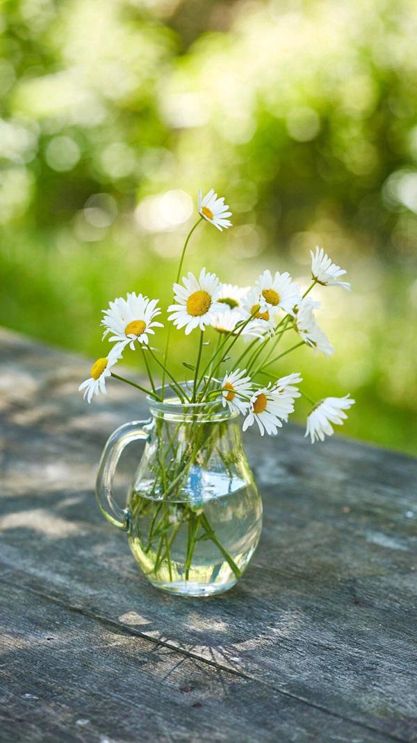 你是我最关心的人