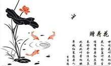 描写荷花的句子