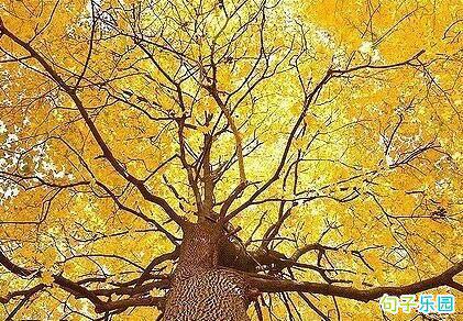 《挪威森林》是村上春树最著名的作品