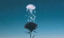 再见又心痛的句子