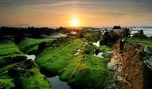 友情的句子：关于友谊的诗句