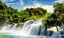 友情的句子：绽放