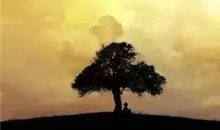 传递正能量的一句话