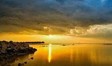 描写友情的语句摘录