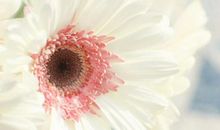 享受悠闲的生活的句子