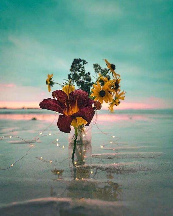 给青枫听了我的短信