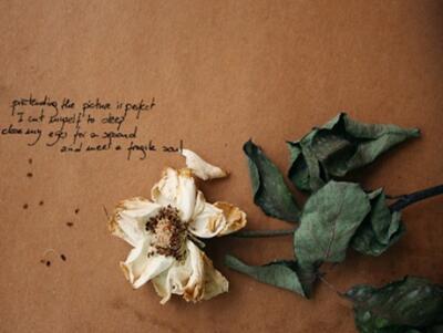 爱可以是一瞬间的事情