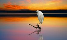 海边放松心情的句子