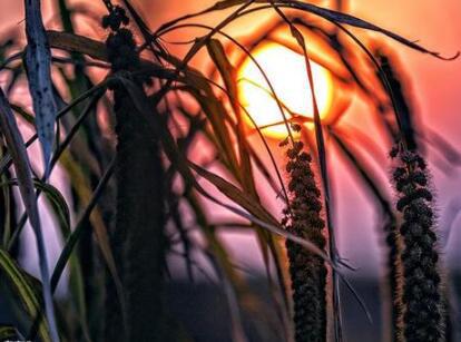 据说孩子是父母给他们最大希望的人