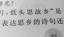 表达思乡情绪的诗句