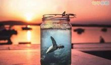 2019奋斗励志语录大全