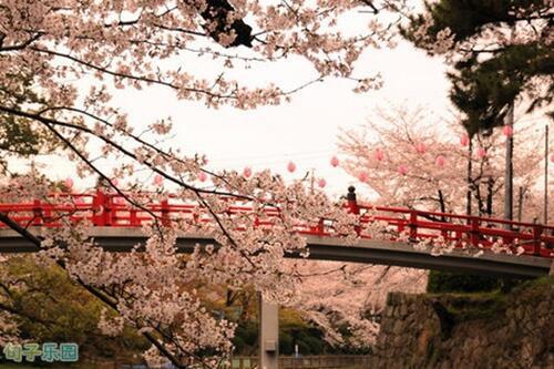 由于教科书的局限性