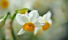 五一节问候短信