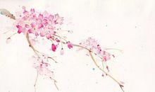 描写桃花的优美句子