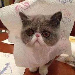 您可以问自己两个问题:一个是给您别人的对象