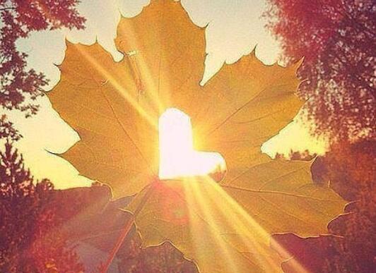 您将对世界无敌