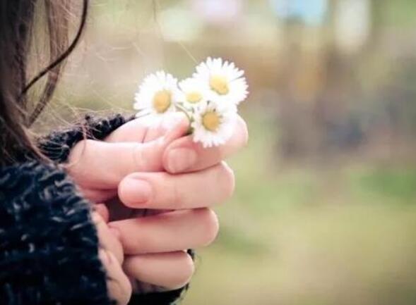 展现别致高贵的风格