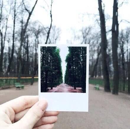 以下是令人心碎的句子的集合