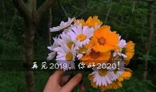 2020辞旧迎新的唯美的句子 辞旧迎新的好句子元旦