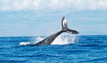 激励加油的励志语录