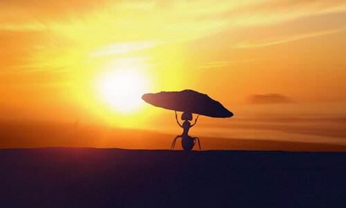 我们必须继续勇于追求梦想