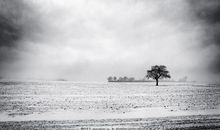 形容对友人失望的句子