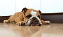 关于无聊的句子