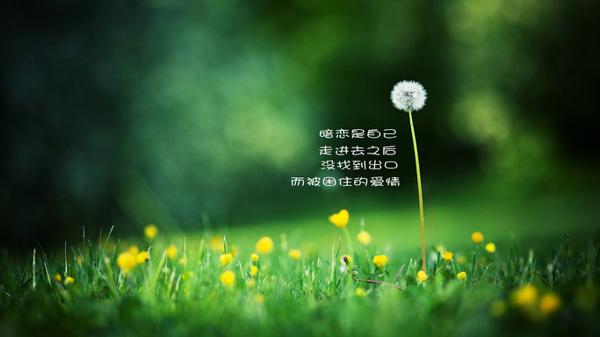 爱的悲伤和喜悦