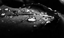 对一个人最失望的句子