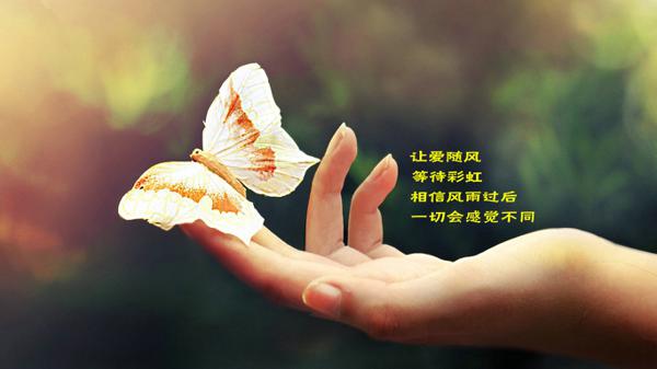 这个世界的所有苦难：命运的坎mud泥泞