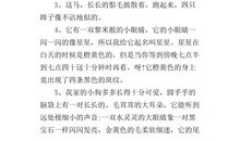 描写动物外貌的语句
