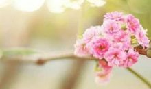 后悔选择他的句子