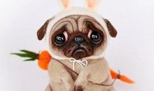 520情人节搞笑句子 情人节的搞笑句子说说