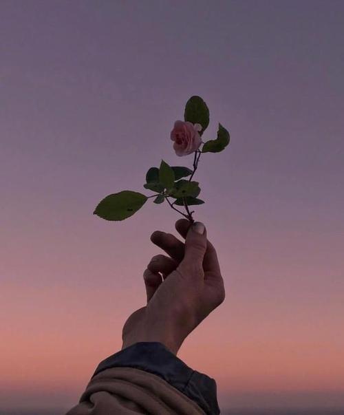 生活只有超过30