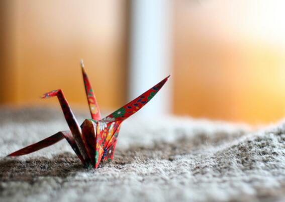 生命的意义在于我们所有的努力