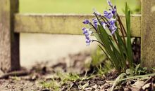 人生没有后悔的句子