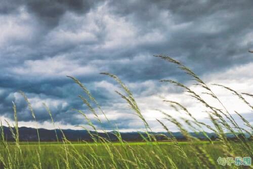 我站在你的面前