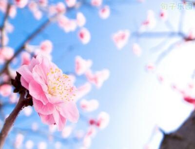 如果您一生中都没有考虑它