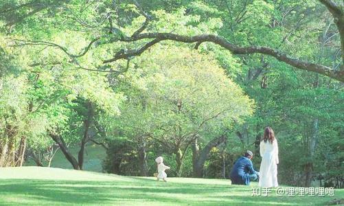 突然回头看一切都是空的