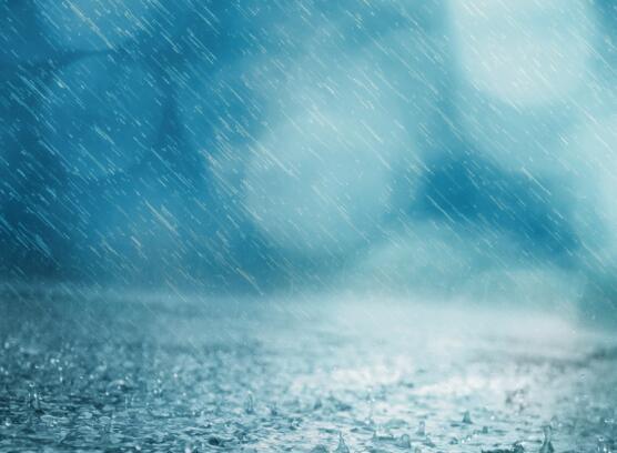 我看到你心中的大海