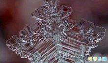 痛苦难过煎熬的语句