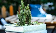 关于亲情相遇的唯美句子