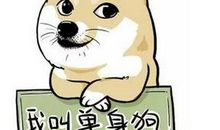 关于情人节的搞笑说说